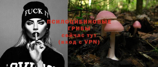 дурь Приозерск