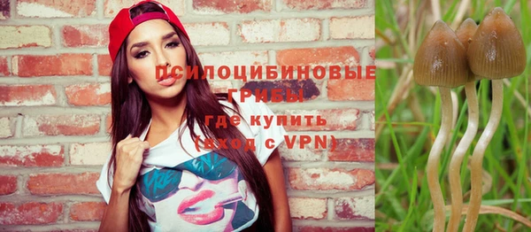 дурь Кукмор