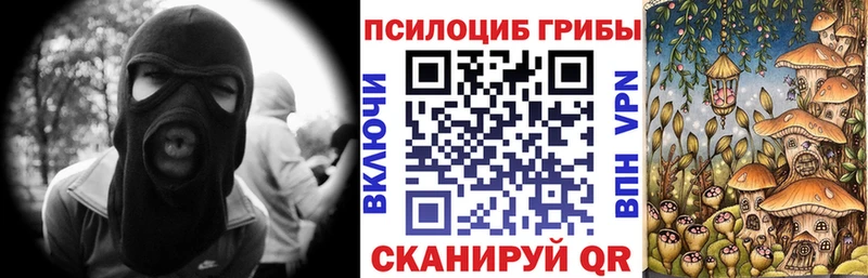 Галлюциногенные грибы Psilocybe  Лангепас 