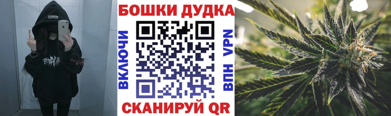 Бошки Шишки планчик  Лангепас 